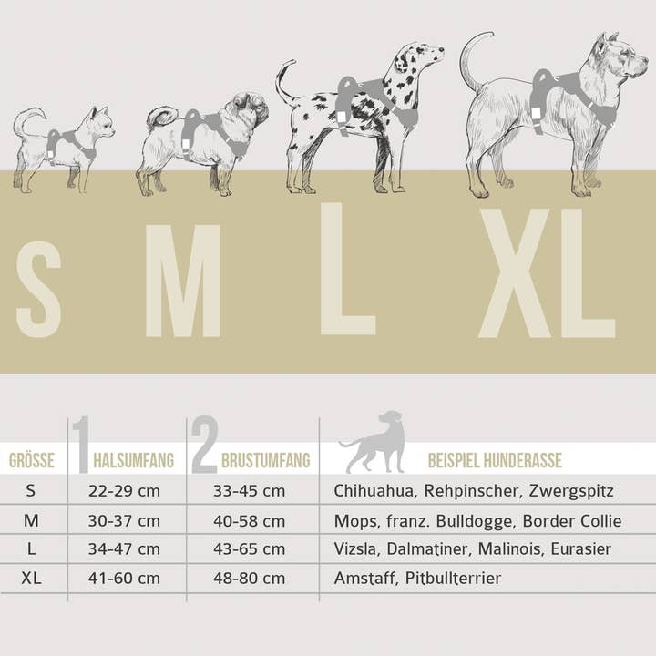 ne&no – Großhandel Haustiergeschirr – Hund – ne&no® Outdoor Brustgeschirr für Hunde + mit Ruckdämpfer7