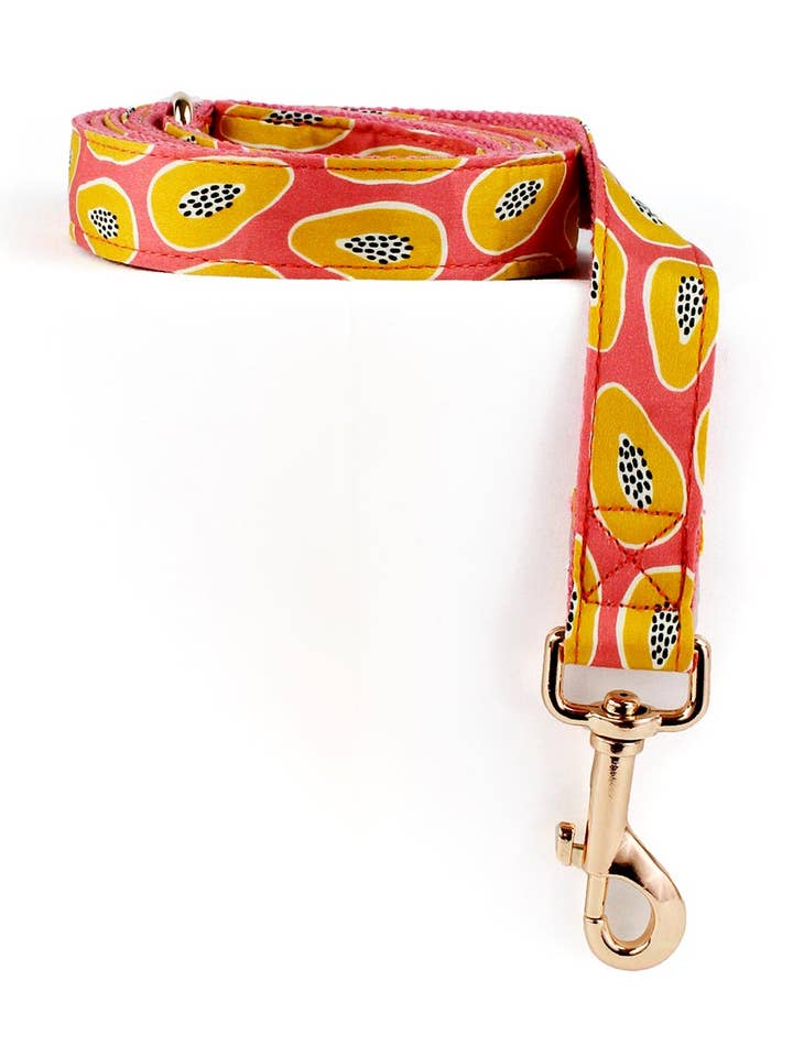Papaya Madness Dog Leash for wholesale by Urbana Pet Boutique