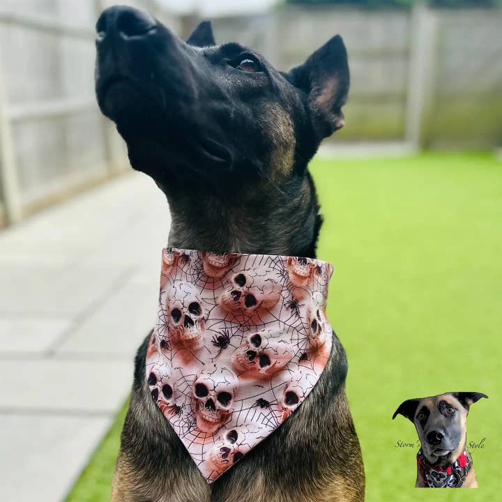 3D Skulls Halloween Pet Bandanas - Dog Cat for wholesale by Storms Style