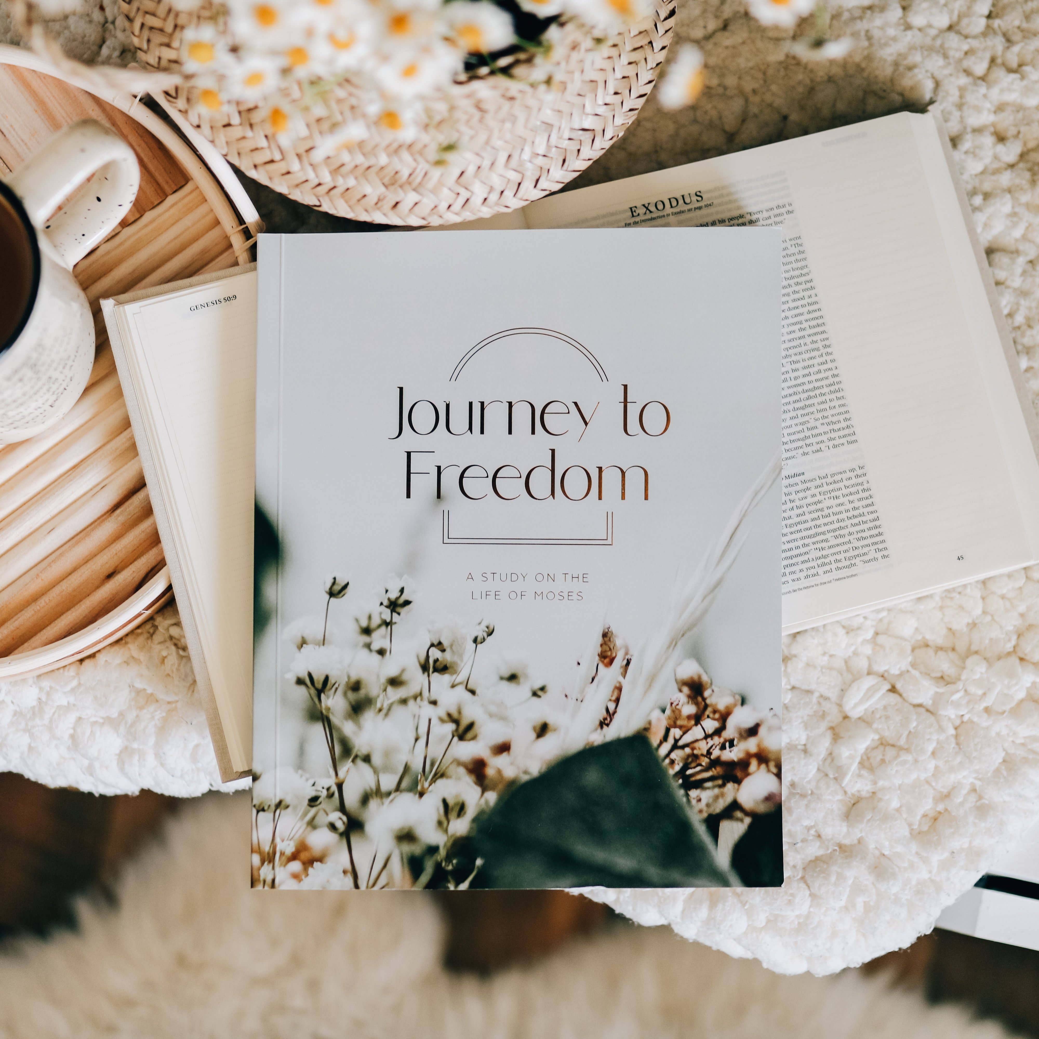 The Daily Grace Co - Wholesale Religion - Journey to Freedom | The Life of Moses9
