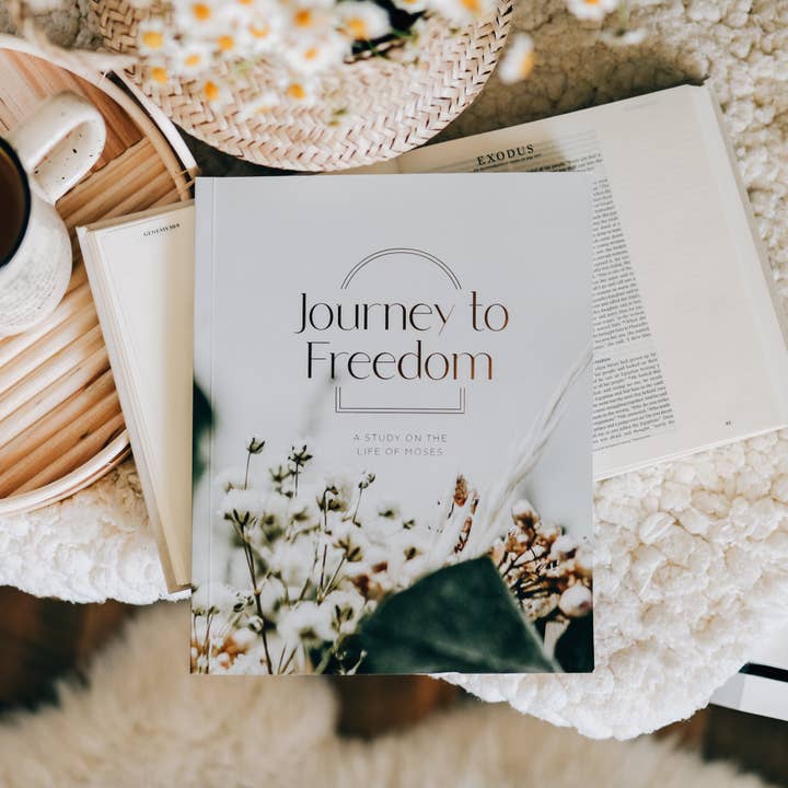 The Daily Grace Co - Wholesale Religion - Journey to Freedom | The Life of Moses9