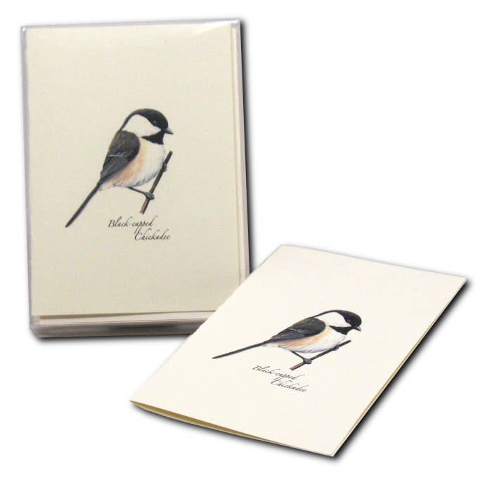 Earth Sky + Water - Wholesale Stationery/Notecard Set - Black-capped Chickadee2