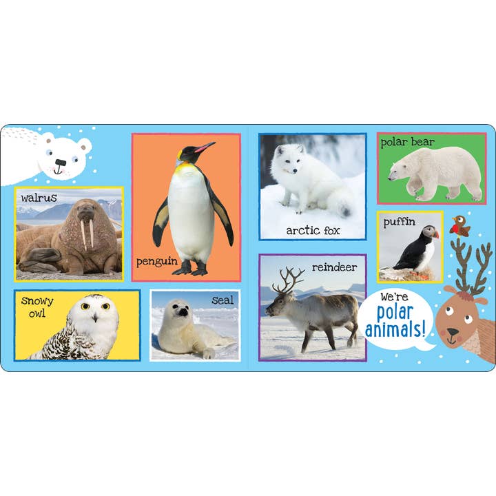 Peter Pauper Press - Wholesale Baby & Toddler Book (0-2) - My First 101 ANIMALS Board Book2