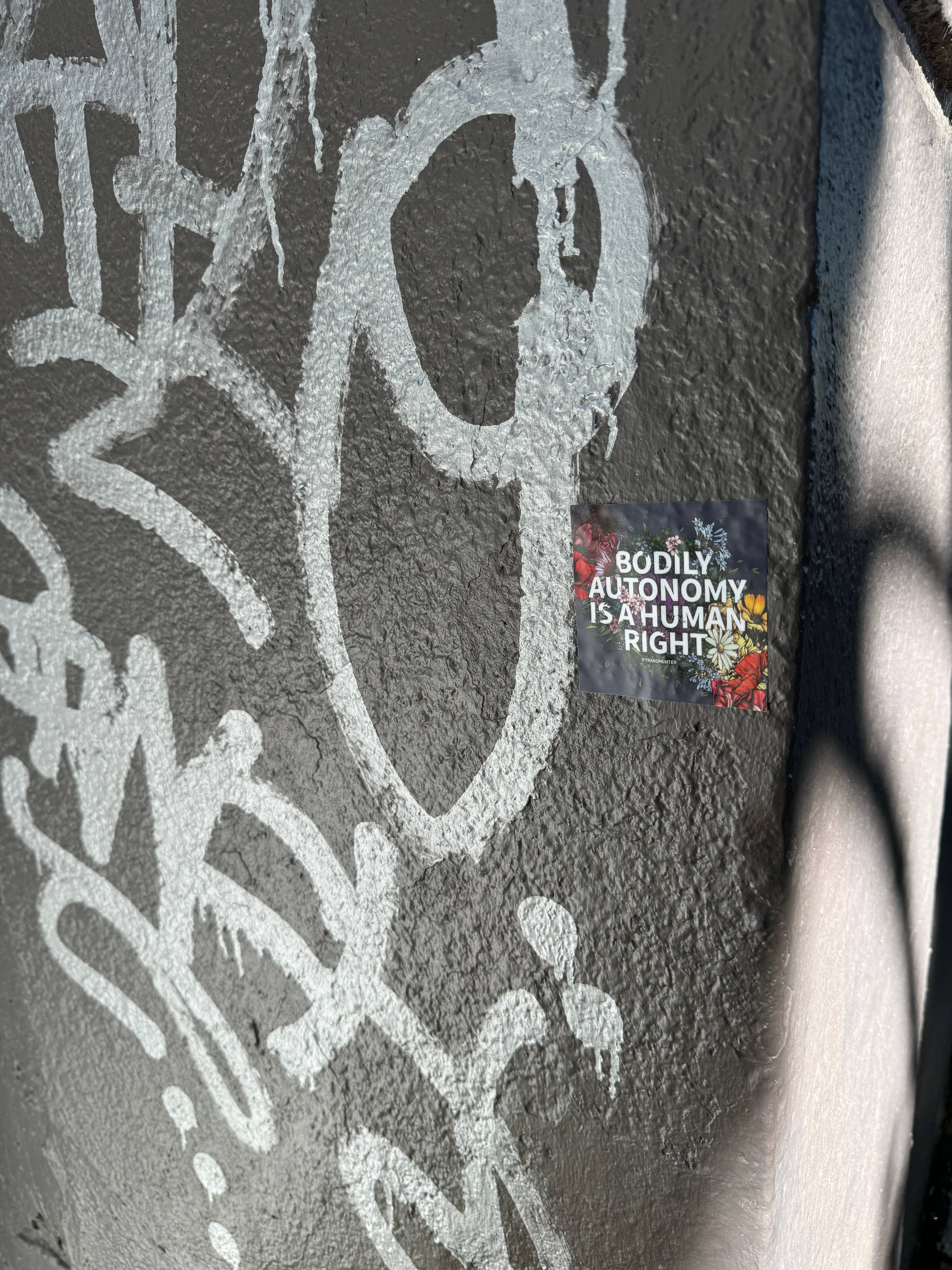 Transpainter - Wholesale Sticker - Bodily Autonomy is a Human Right Sticker | Feminist Stickers15