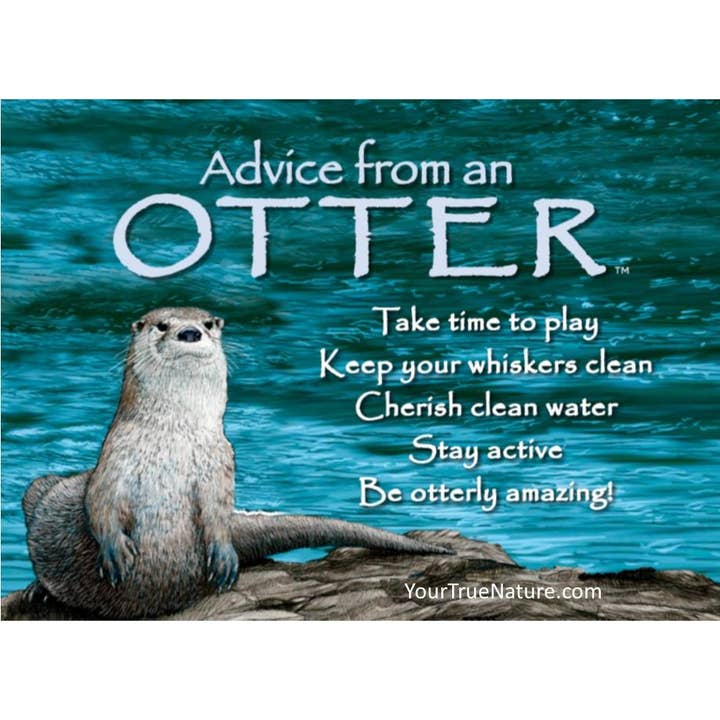 Advice for Life by Your True Nature - Wholesale Magnet - Advice from an Otter Jumbo Magnet