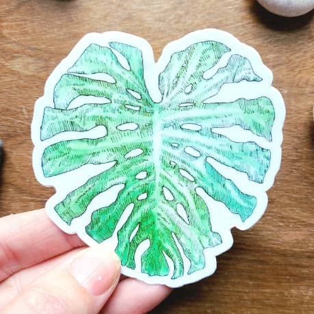 Monstera Leaf Sticker 3 by 3 in for wholesale by Hannah Guthrie Designs
