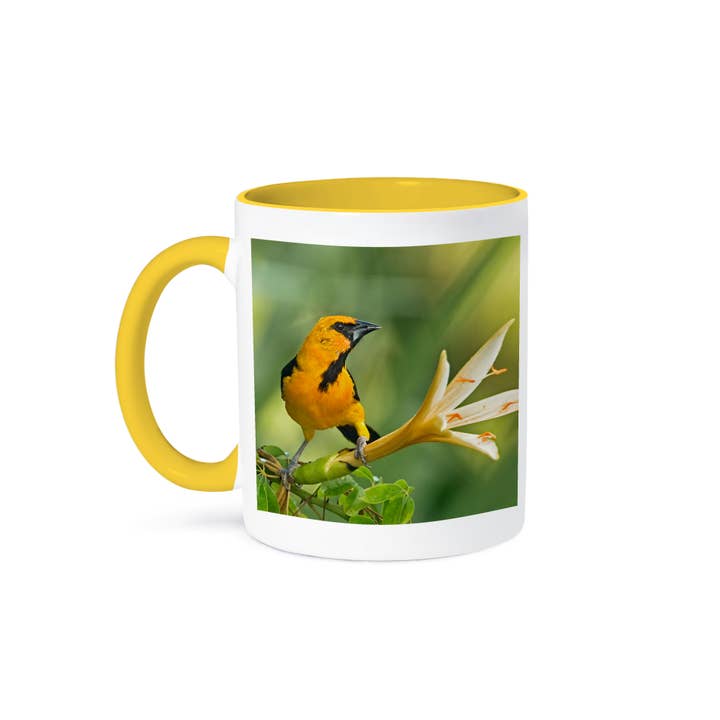 3dRose - Wholesale Coffee Mug - 3dRose, Yucatan, Mexico. Altamira oriole in Caribbean trumpet tree., Mug