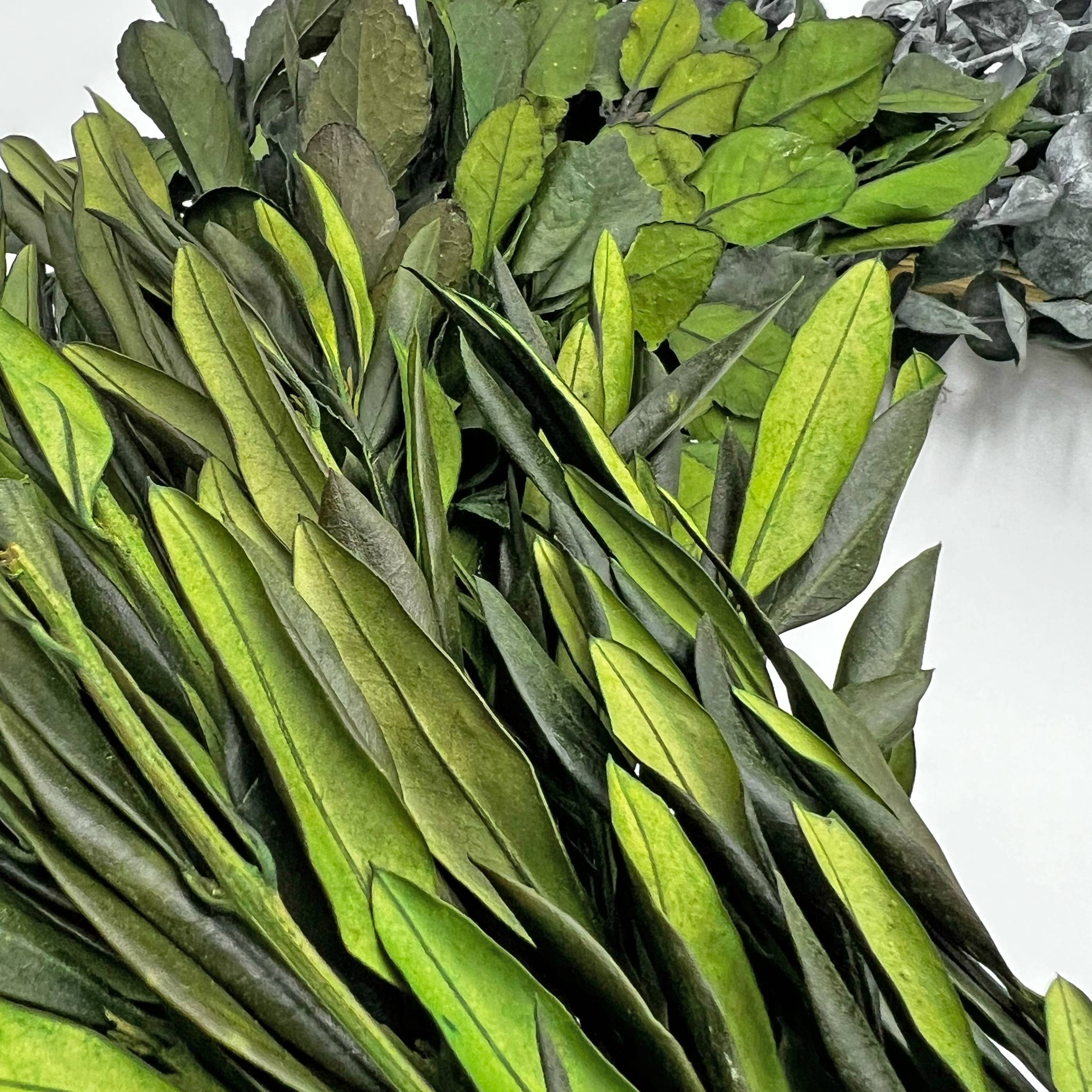 2626 Designs - Vendita all'ingrosso Ghirlanda - Ghirlanda preservata da 53 cm con foglie di eucalipto e bosso4