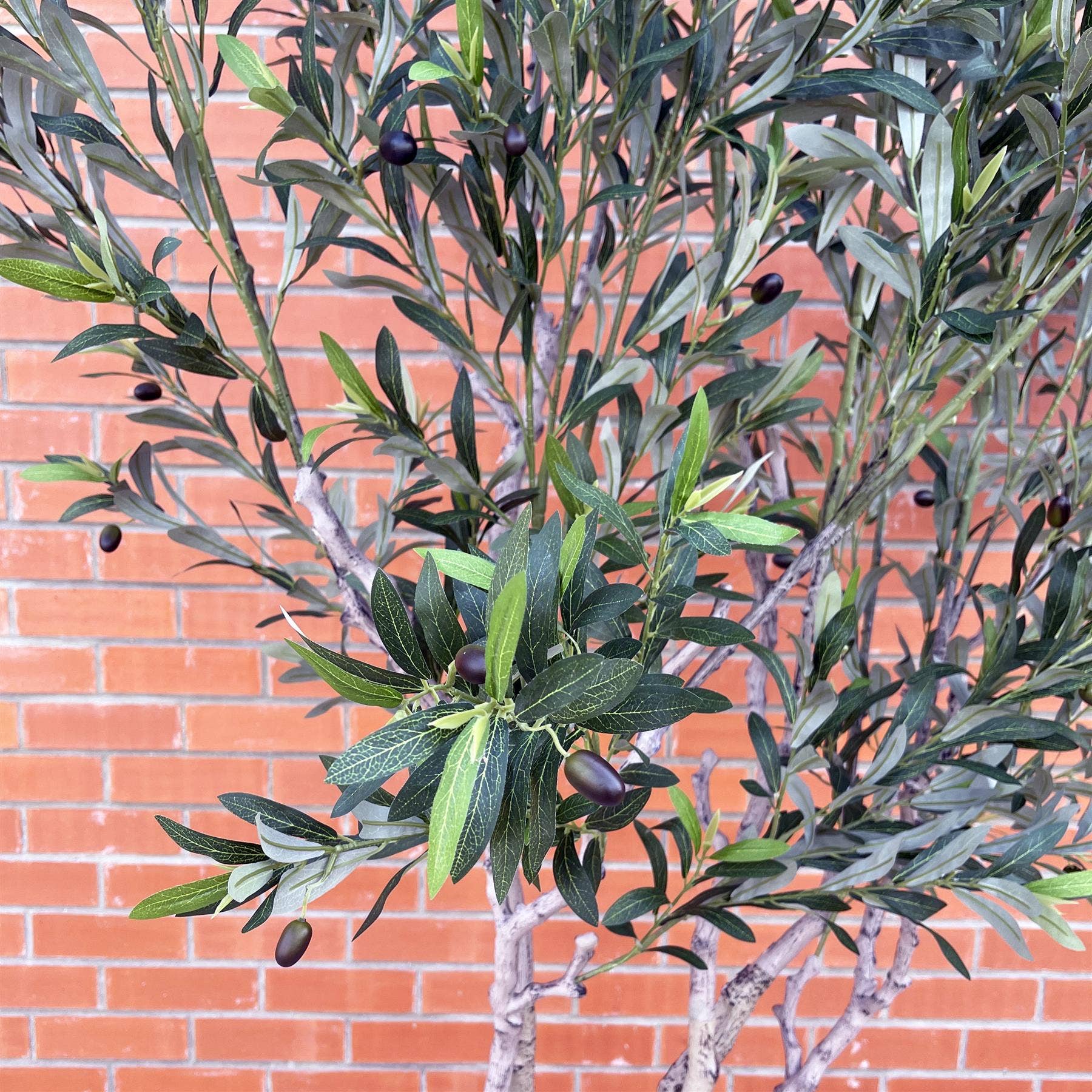 Leaf Design UK LTD - Wholesale Artificial plant - 250cm XXL Olive Tree1