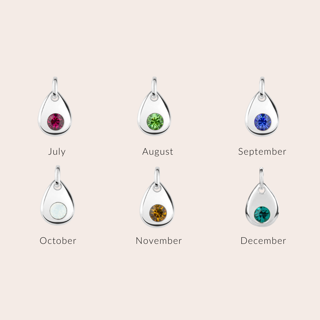 Skylos Collective - Wholesale Pet Collar Charm - Cat/Dog - Sterling silver birthstone collar charm18