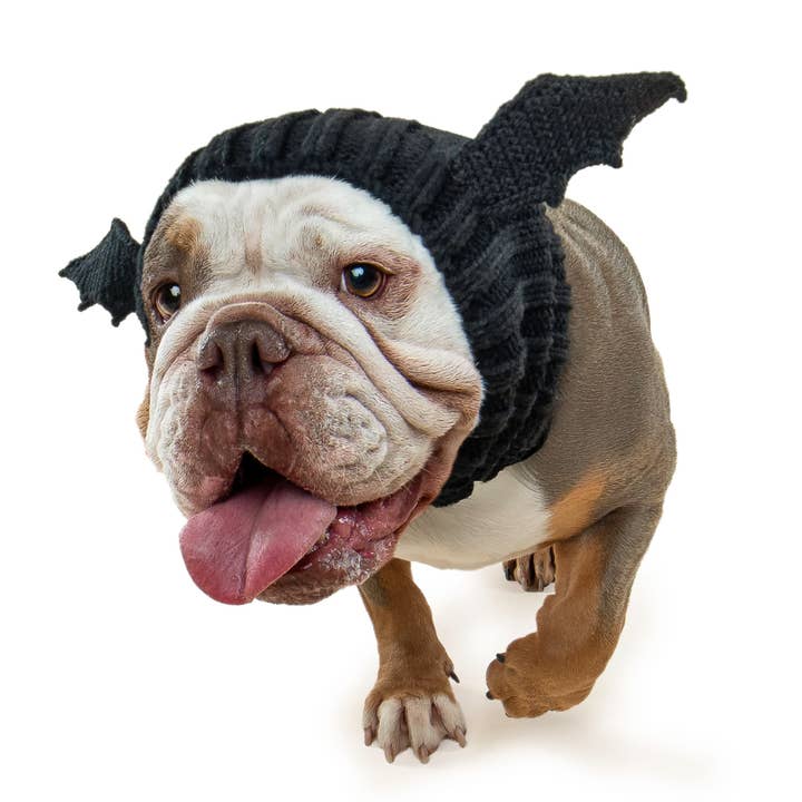 Bat Dog Snood for wholesale by Zoo Snoods