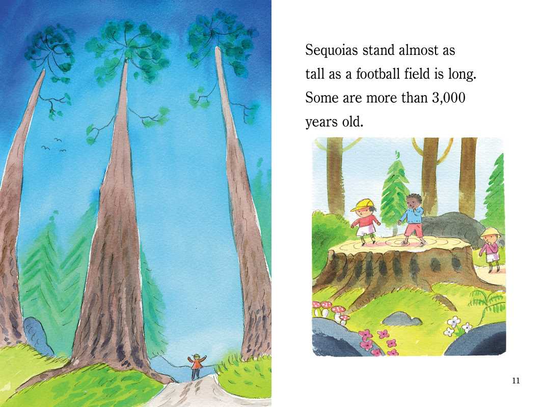 Simon & Schuster - Wholesale Early Reader Book (6-8) - Yosemite by Marion  Dane Bauer4