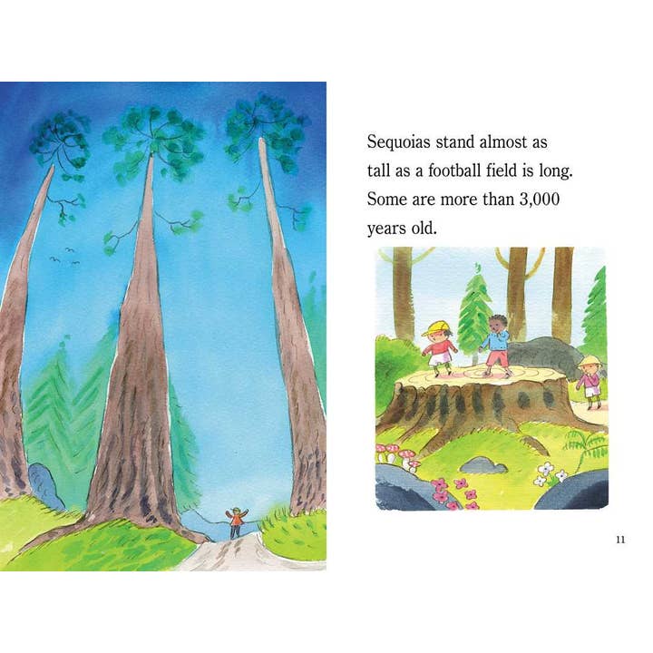 Simon & Schuster - Wholesale Early Reader Book (6-8) - Yosemite by Marion Dane Bauer4