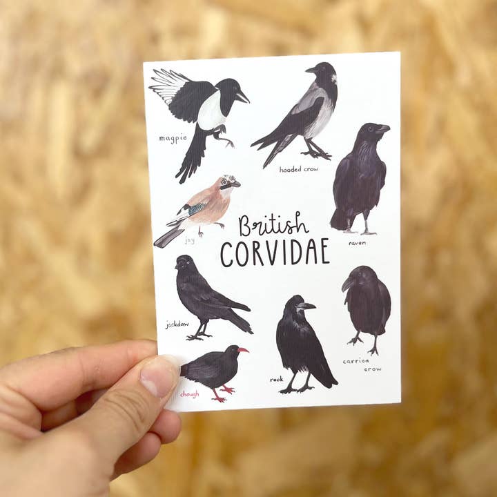 This Thursday - Wholesale Everyday Greeting Card - British Corvidae Card4