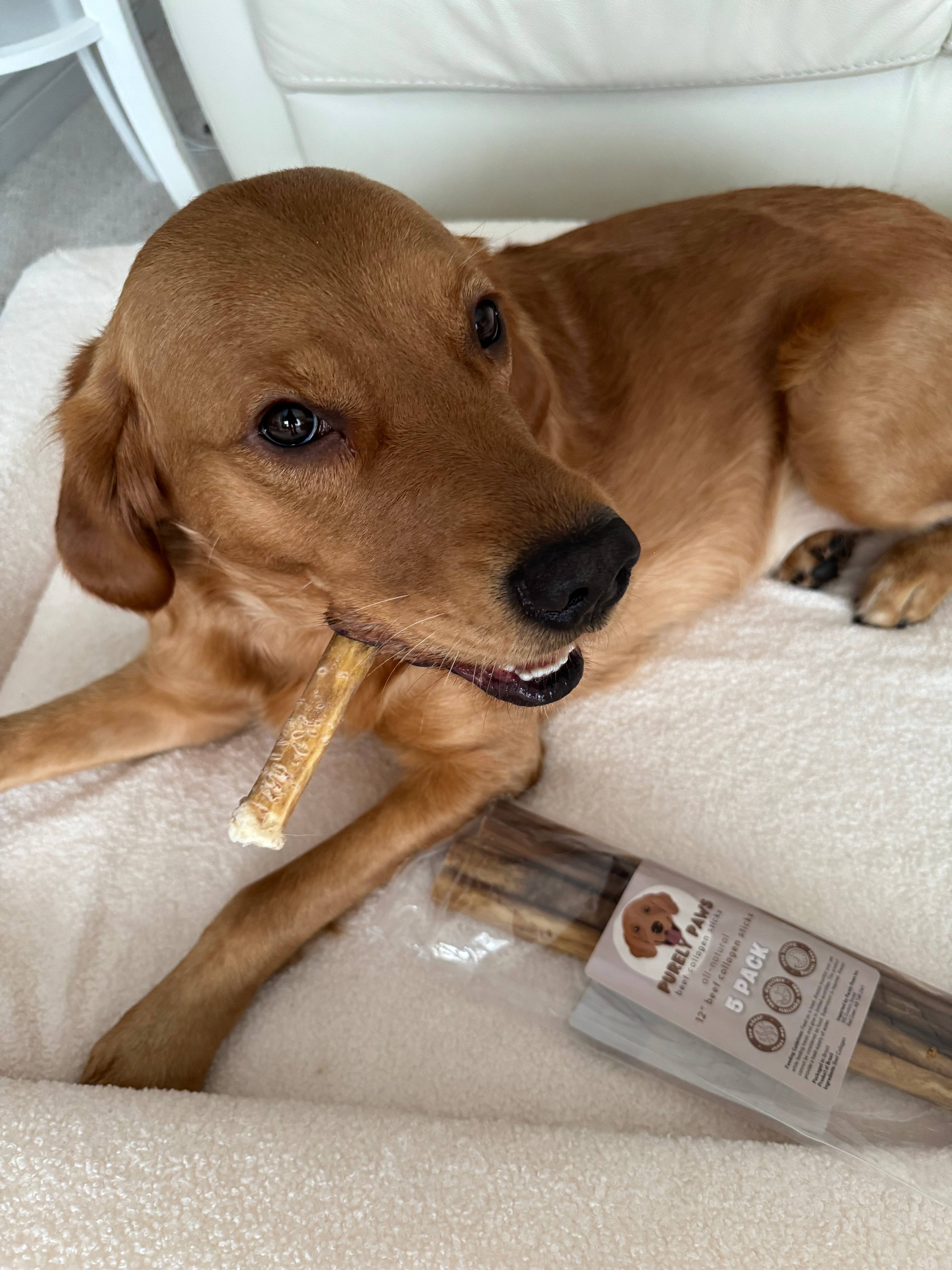 Purely Paws - Vente Friandises – chien - Friandises à mâcher pour chiens en collagène de bœuf naturel3