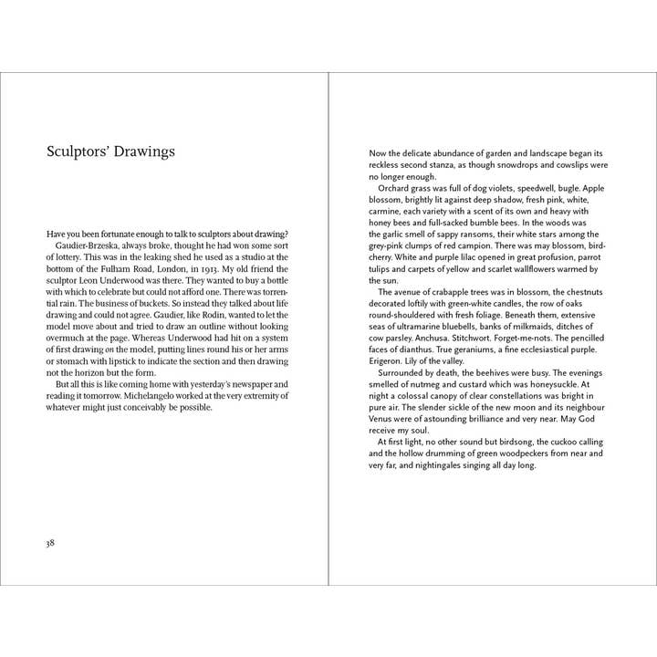 W. W. Norton - Wholesale Book - Adult - Immortal Thoughts: Late Style in a Time of Plague5