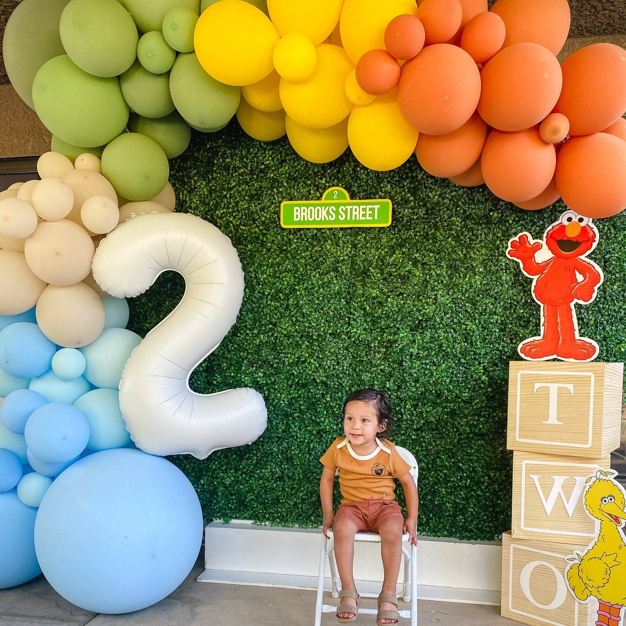 Ellie's Party Supply - Wholesale Balloon - Sesame Street Balloon Arch - Blue Orange Yellow Green Balloon Garland Kit3