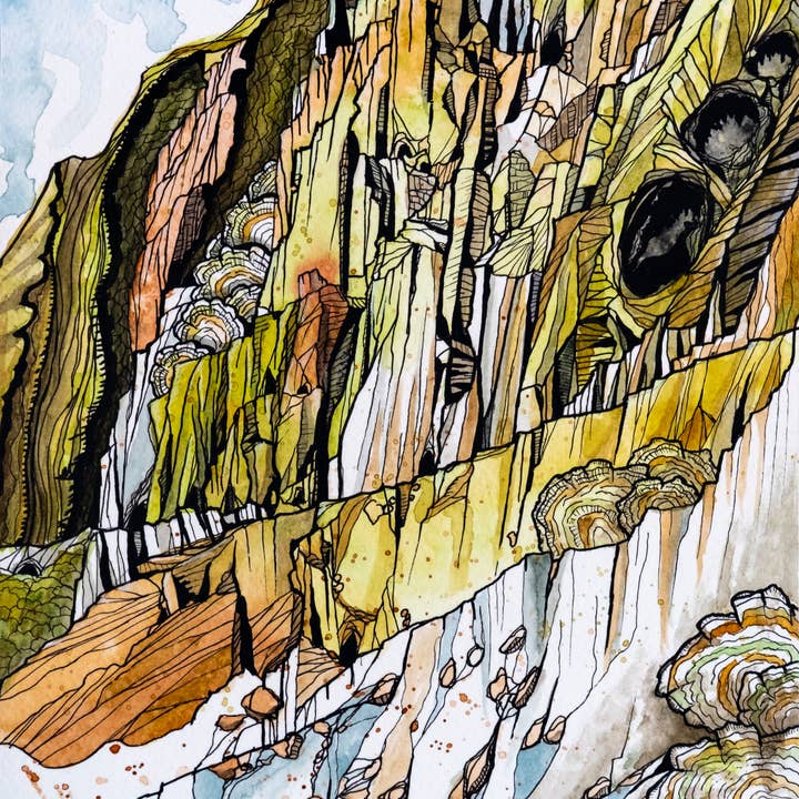 Jon M Styer - Wholesale Art Print - Turkeytail Cliff - Fine Art Print - 8x101