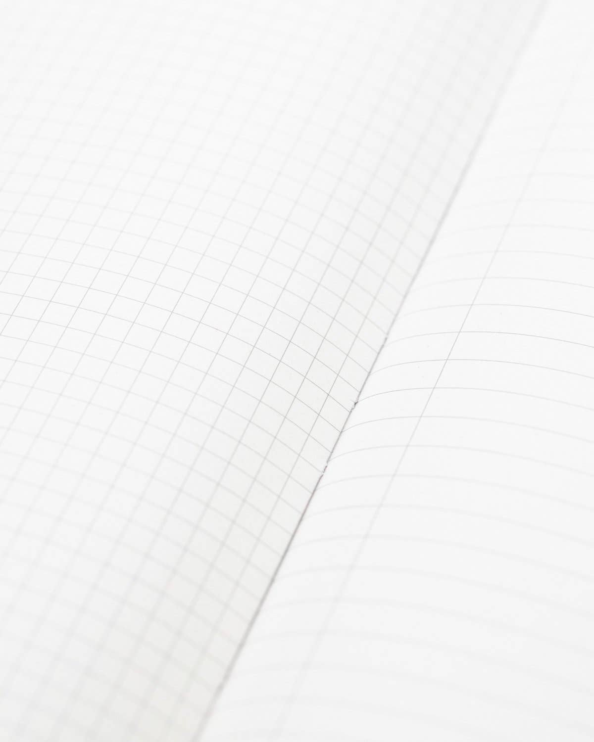 Cognitive Surplus - Venta al por mayor Cuadernos - Plantas y Hongos Tapa Dura Páginas Rayadas/Cuadriculadas (Caja de 6)4