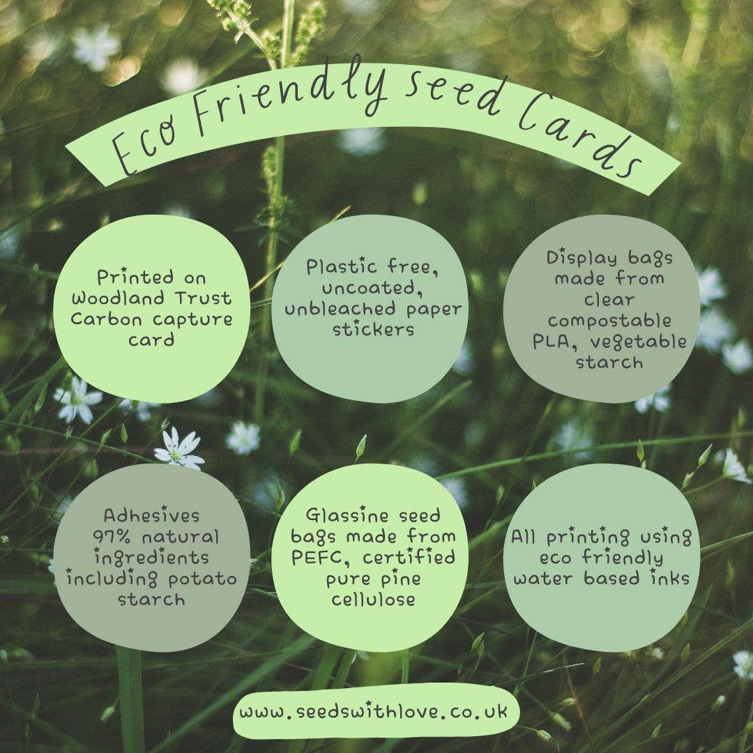 Seeds with Love - Wholesale Birthday Card - Pansy & Strawberry Cake Birthday Recipe Card - Pansy seeds6