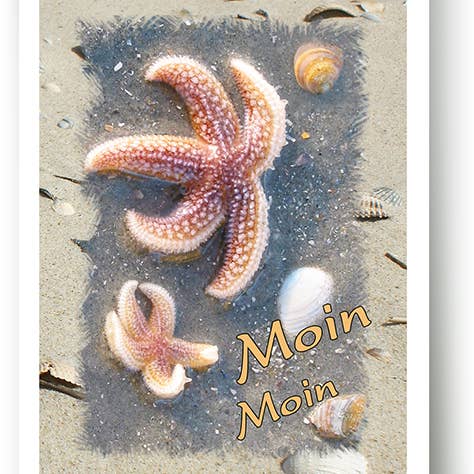 Maritime/369226 for wholesale by Yabué