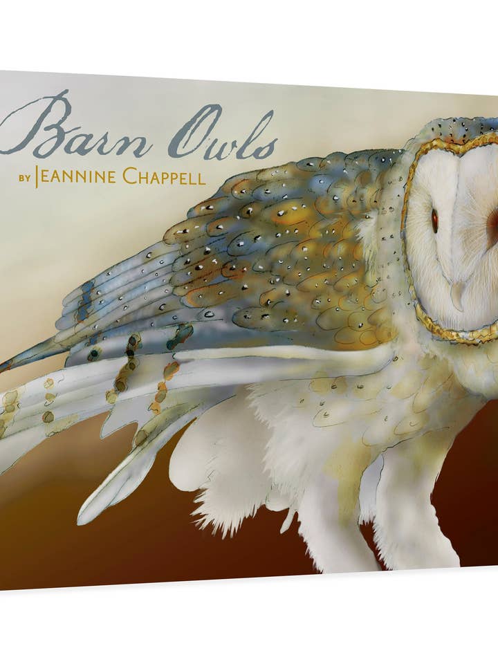 Barn Owls by Jeannine Chappell Boxed Notecard Assortment for wholesale by Pomegranate