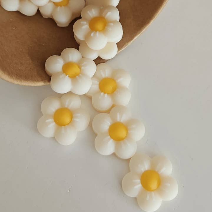 bel-jewelry - Wholesale Wax Melt - Artisanal Scented Melts - Daisy1