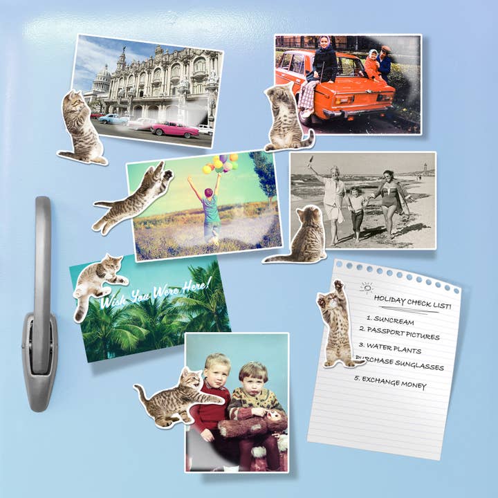 Mustard - Wholesale Magnet - Action Cat Magnets3