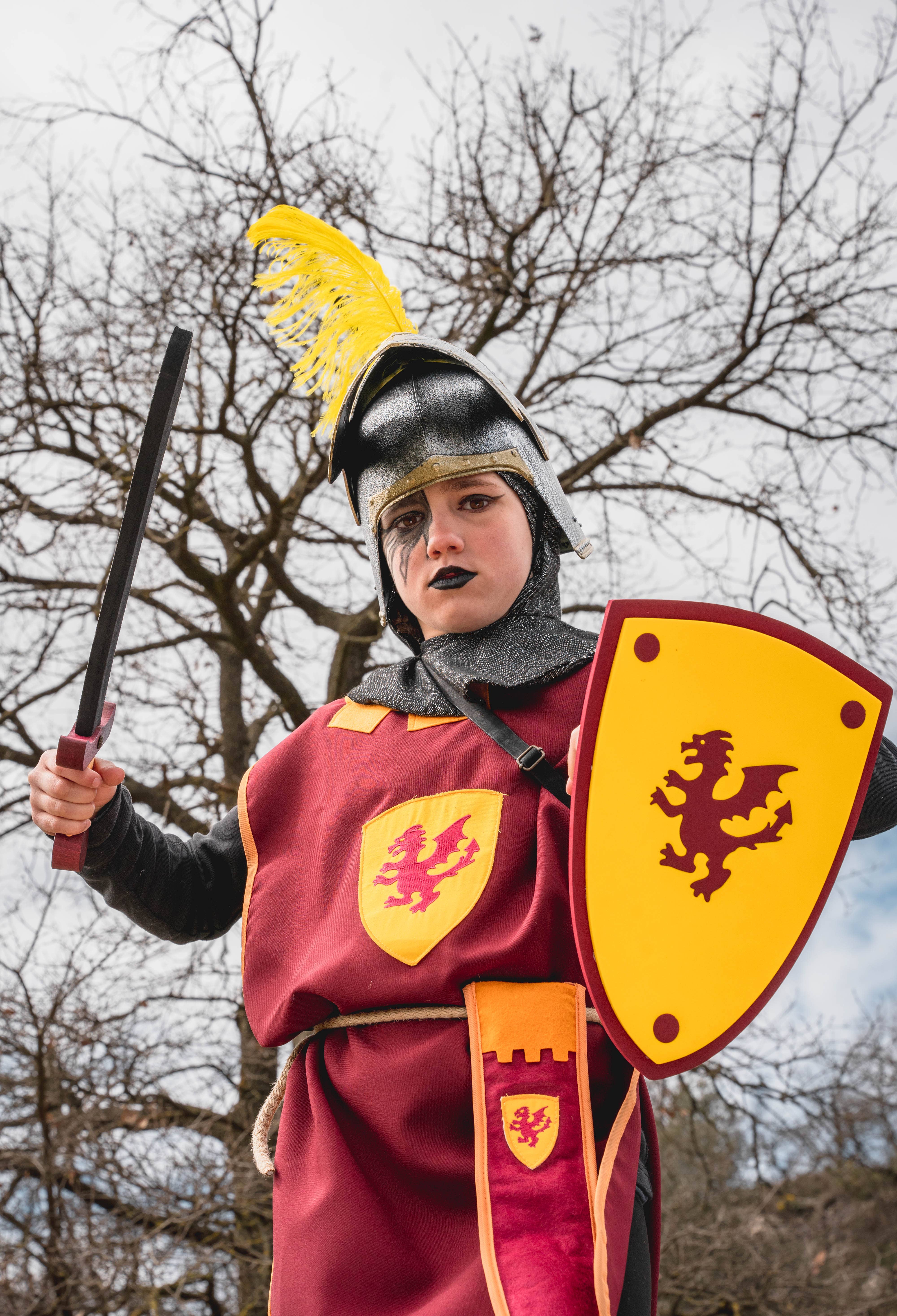 KALID MEDIEVAL - Wholesale Klassiek speelgoed - Kinderen - SCHILDSCHUIM SOFTIK BLAUW MET LEEUW - ST7493