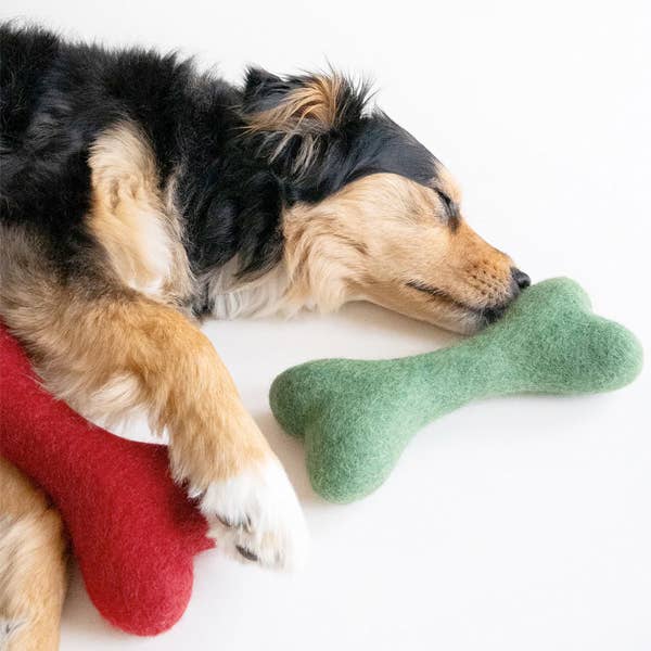 MODERNBEAST - Vente Jouet à mâcher – chien - Jouet pour chien en laine WINTER WOOLBONE2