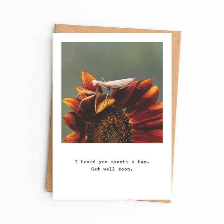 Get well card w/ Praying Mantis on Sunflower for wholesale by Elster Photography/Big Picture Greetings