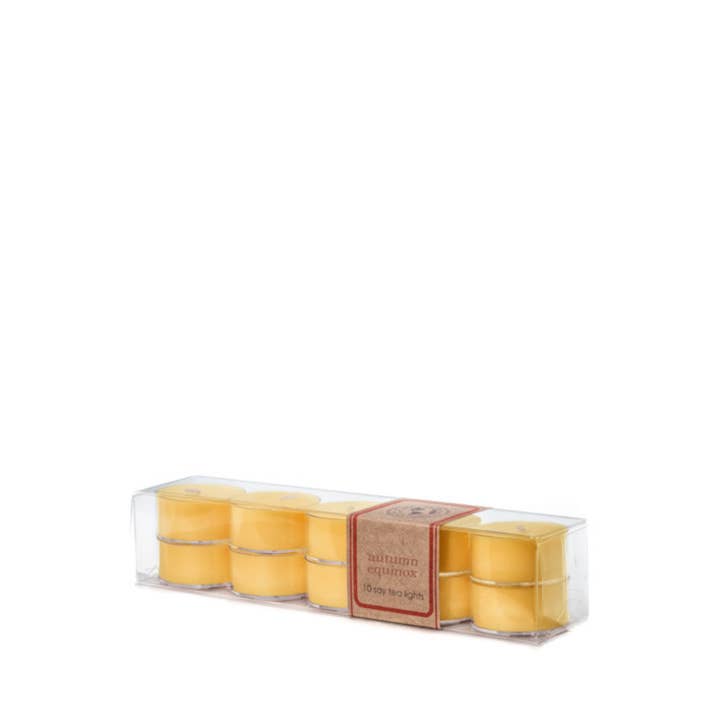 tea light 10pk AUTUMN EQUINOX *NEW! for wholesale by Eco Candle Company