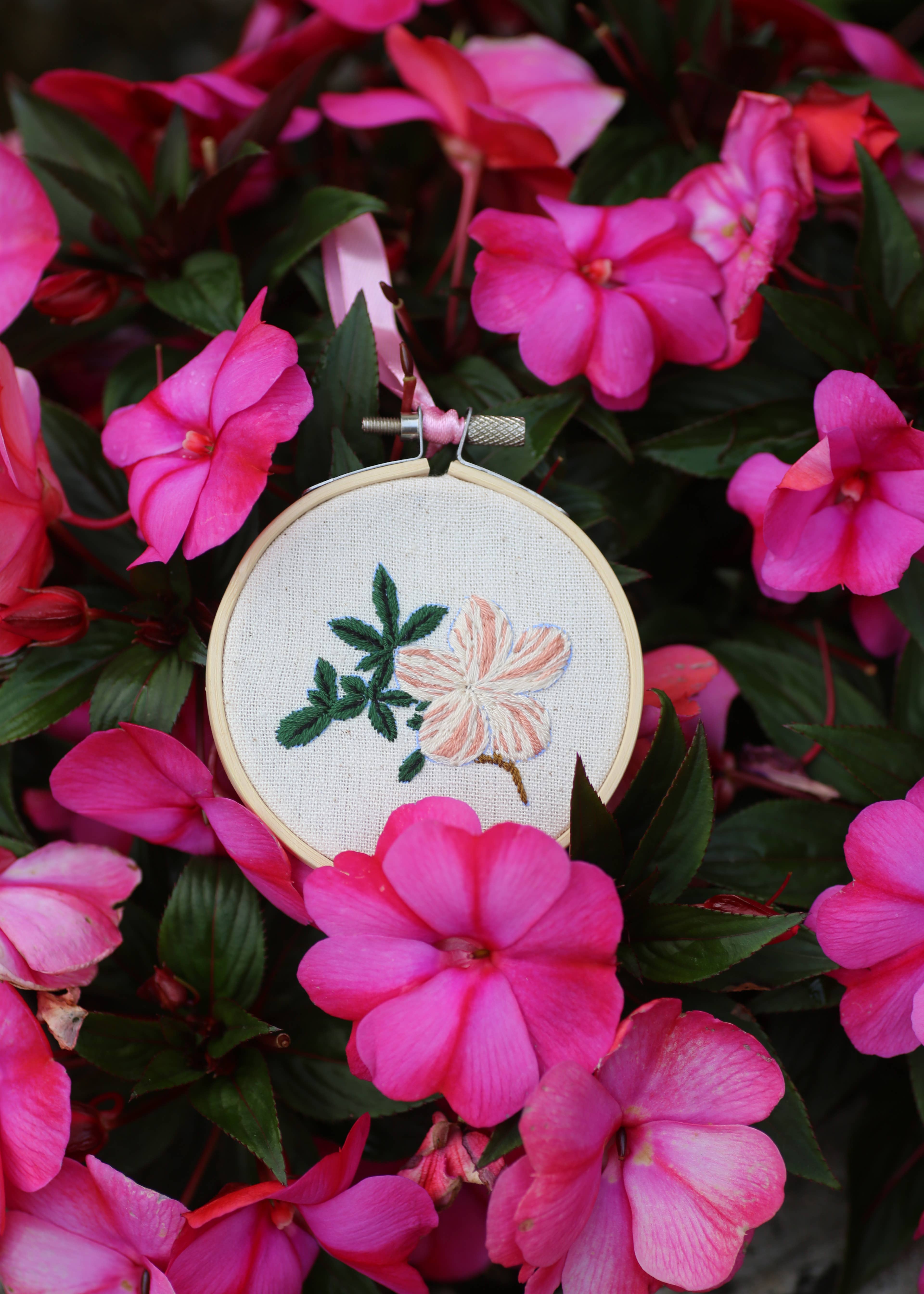 West Design Products - Wholesale Craft sewing kit - Royal Horticultural Society Embroidery Hoop Miniature Floral9