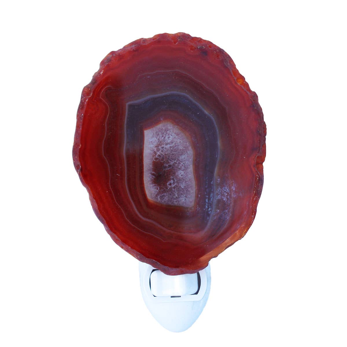 California Seashell Company - Wholesale Night Light - 3"+ Sliced Agate Night Light - Choose from Assorted Colors7