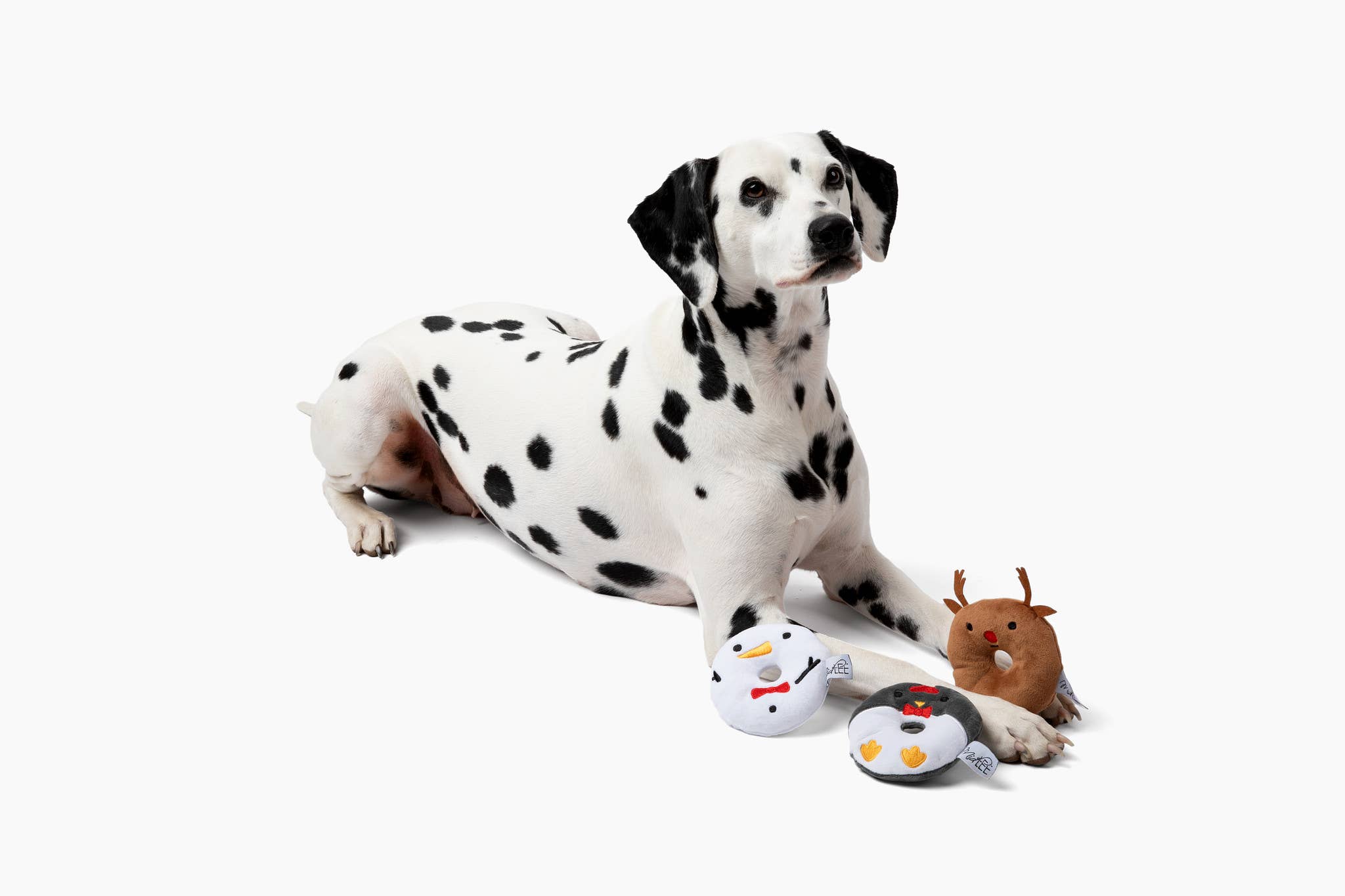 Midlee Designs – wholesale Mjukisdjur - Hund – Midlee Designs juliga hundleksaker i form av munkar – 3-pack1