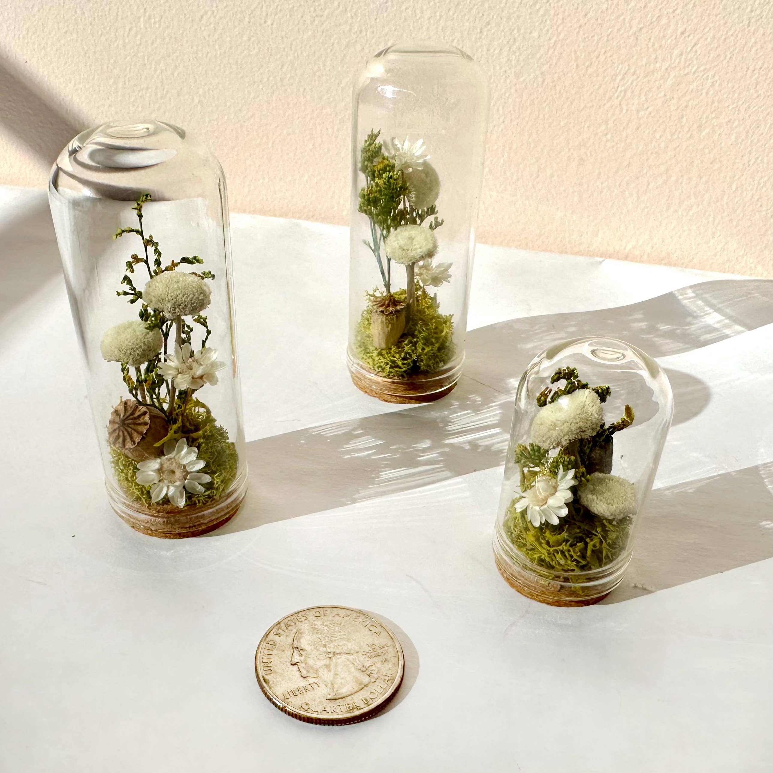 CA Studios - Wholesale Terrarium - Flower Forest Mini Glass Cloche Terrarium w. Dried Florals9