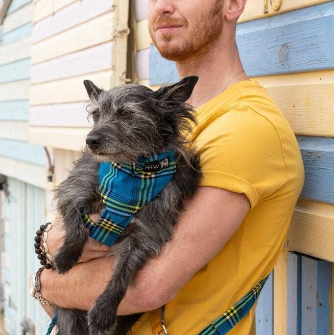 Hiro + Wolf - Wholesale Pet Bandana - Dog - Shuka Blue Dog Bandana4