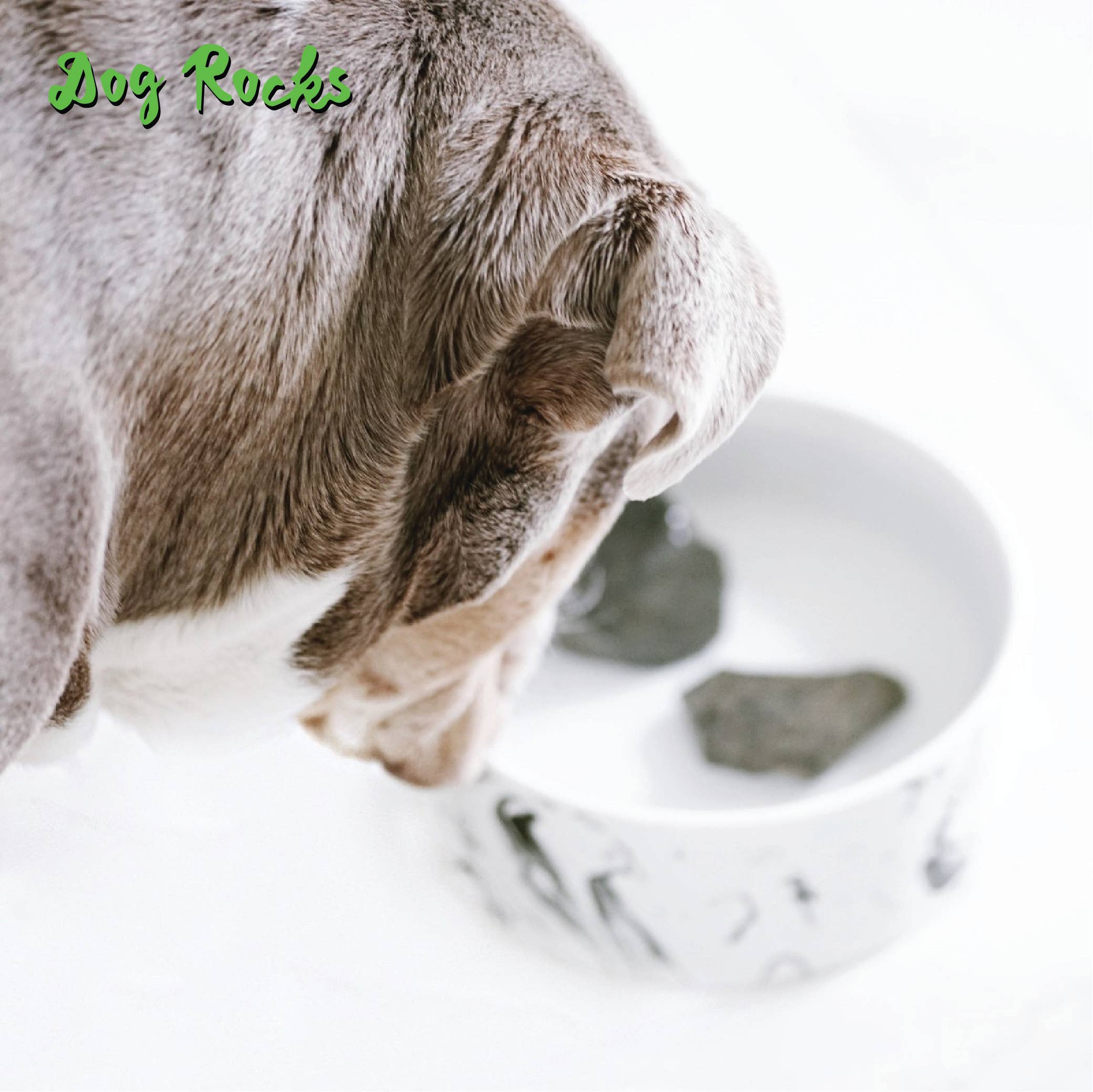 BeLoved, Natural Dog Grooming Products. - Wholesale Pet Supplement - Dog - Dog Rocks - Stop pet urine burns on grass...naturally!7