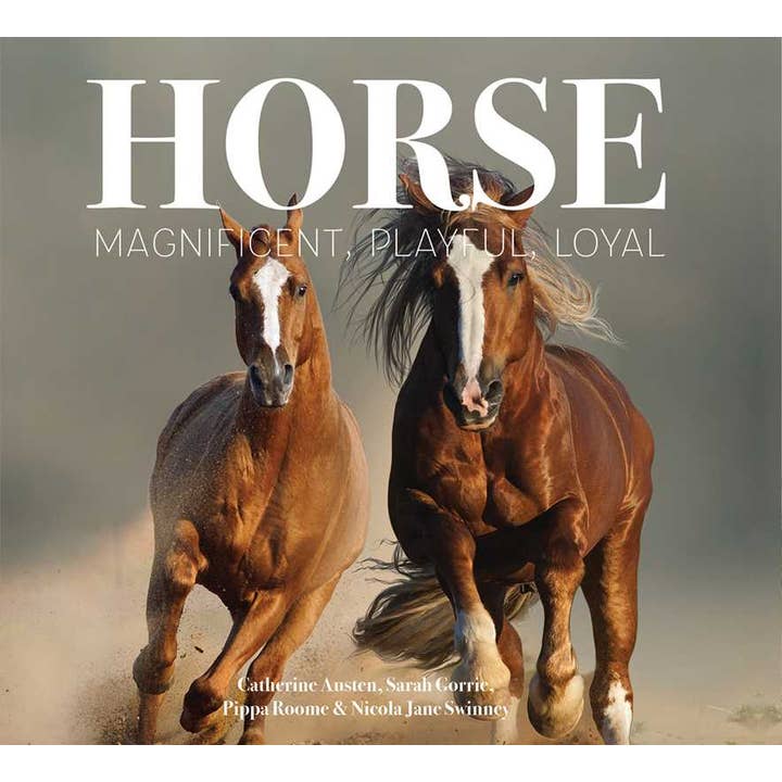 Simon & Schuster - Wholesale Display Book - Horse by Catherine Austen