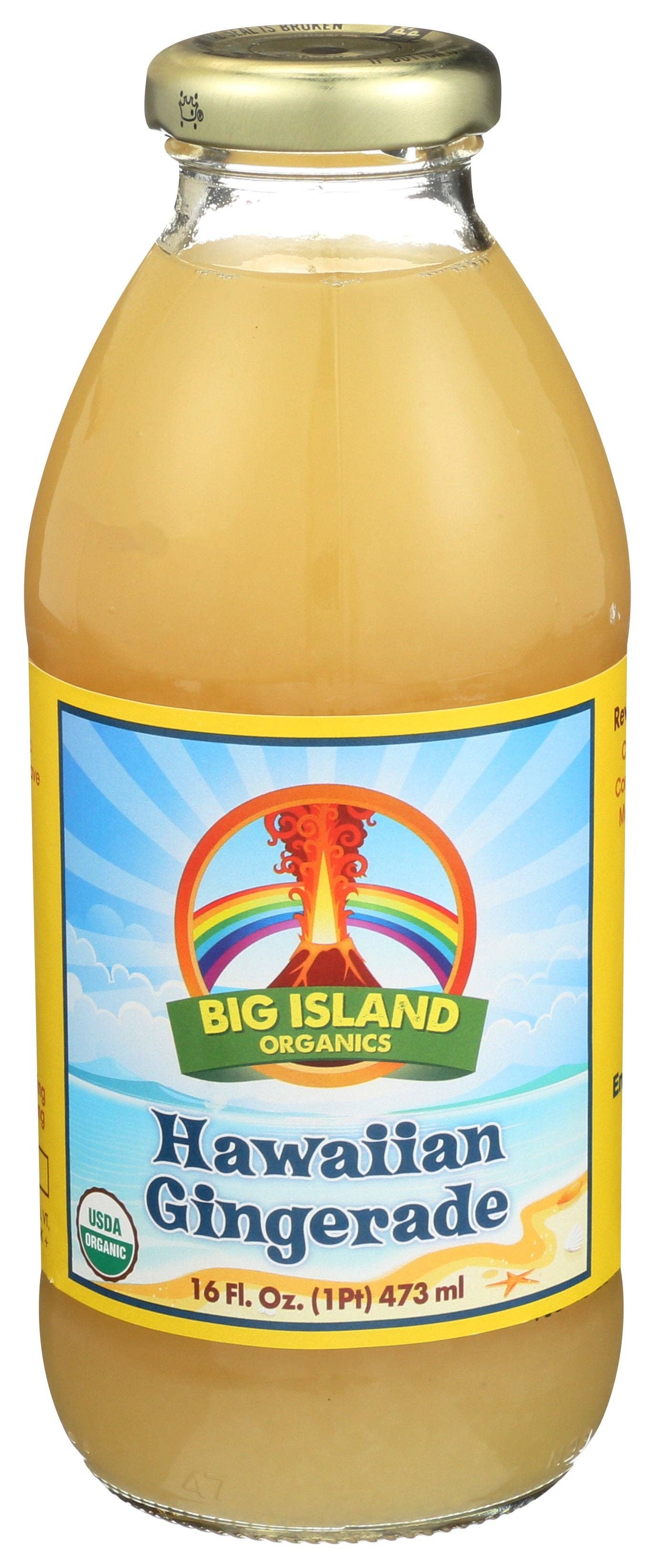 Everyday Supply Co - Wholesale Wellness Juice/Tonic - BIG ISLAND ORGANICS JCE HWAIAN GINGERADE ORG - Case of 120
