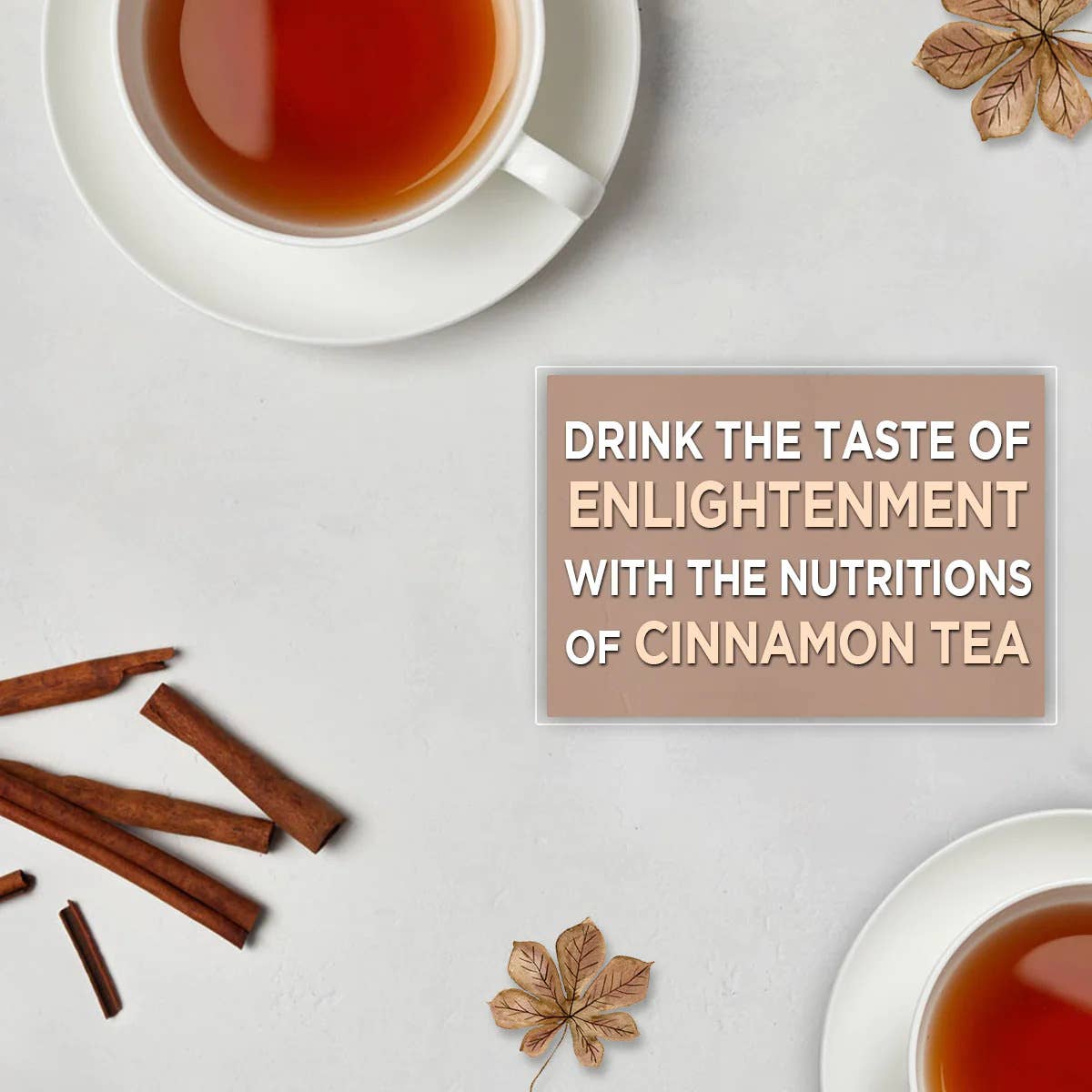 Tea4u - Wholesale Tea Bags - Cinnamon Black Tea2