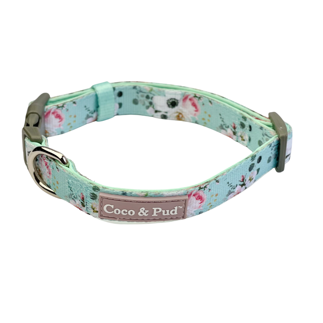 Coco and Pud – wholesale Halsband - Hund – Coco & Pud franska Azure-hundkrage0