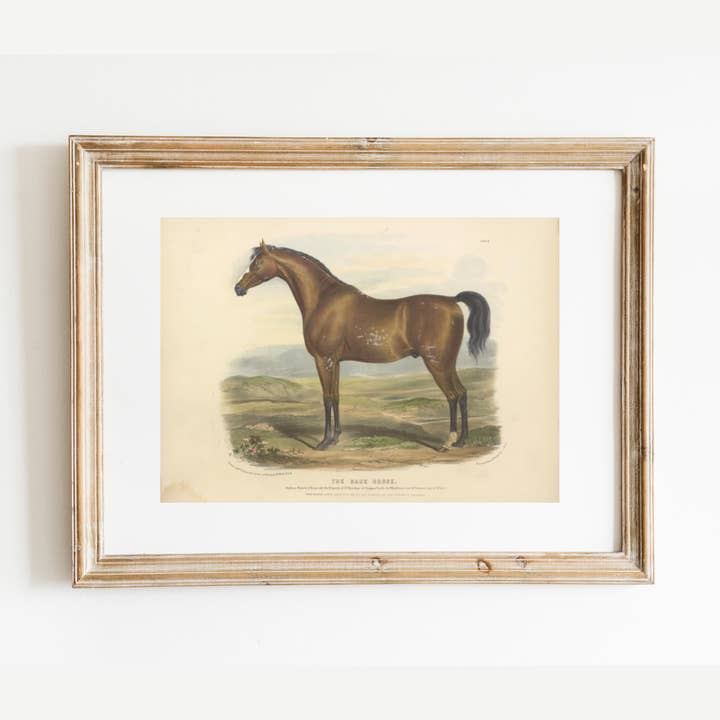 British Racehorse Antique Art Print for wholesale by Sea to Skye