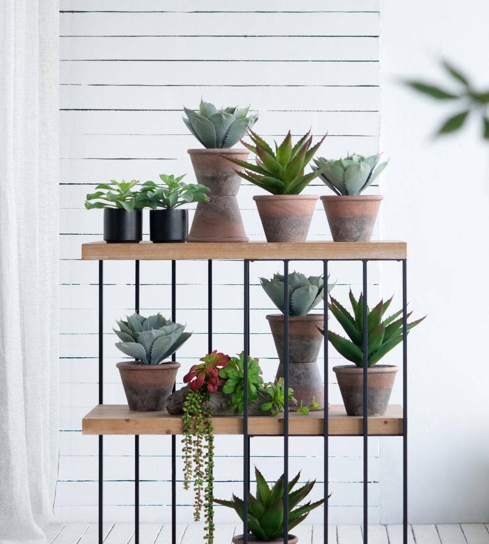 A&B Home Group Inc. – wholesale Artificial plant – Succulent7