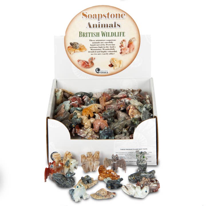 Mini Fedtsten Britisk Wildlife Pack for engroshandel hos British Fossils