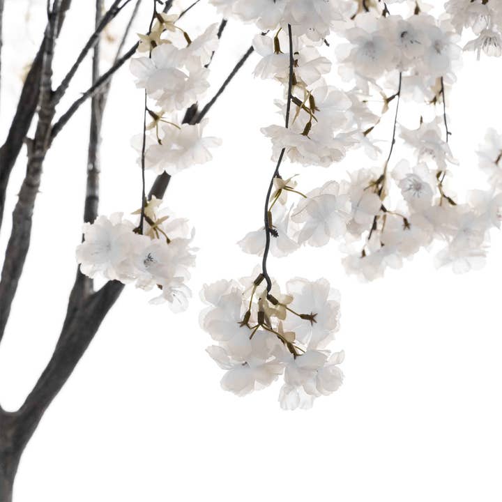 Artificial Cherry Blossom Tree 72" - White for wholesale on Faire3