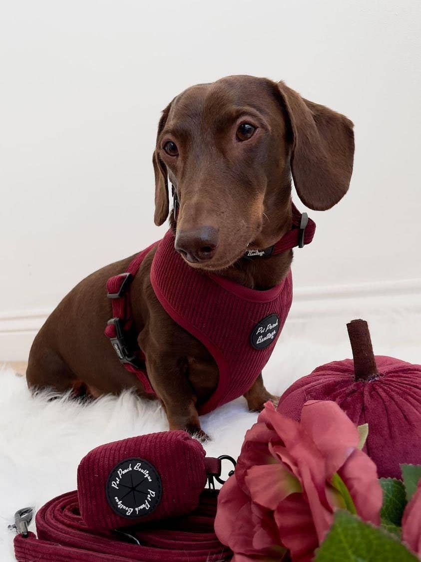 Pet Pooch Boutique – wholesale Pet poo bag dispenser – Burgundy Red Cord Dog Poo Bag Holder *Free roll of poo bags1