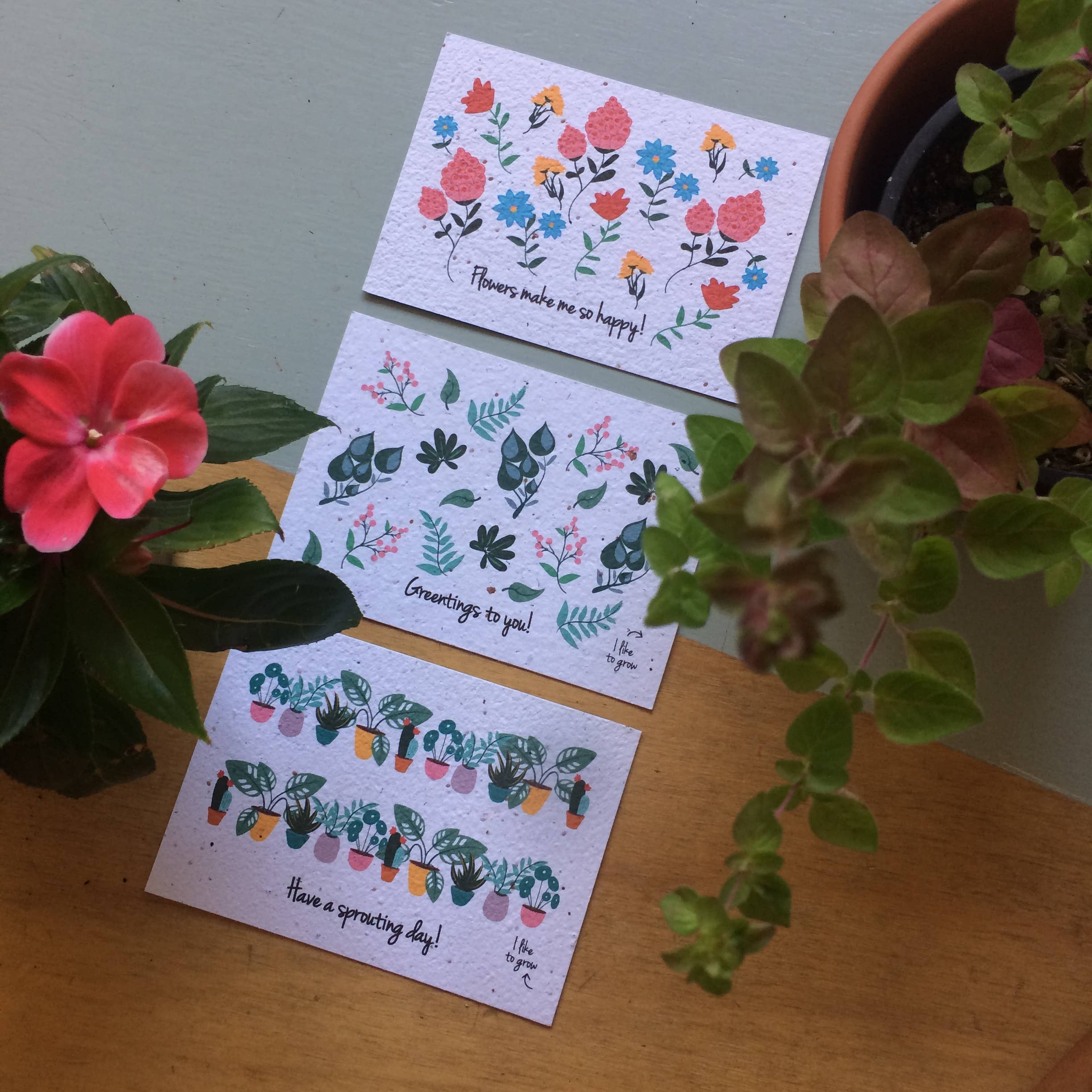 BLOOM your message - Vendita all'ingrosso Semi di piante - Set di 60 cartoline piantabili con semi di fiori selvatici7