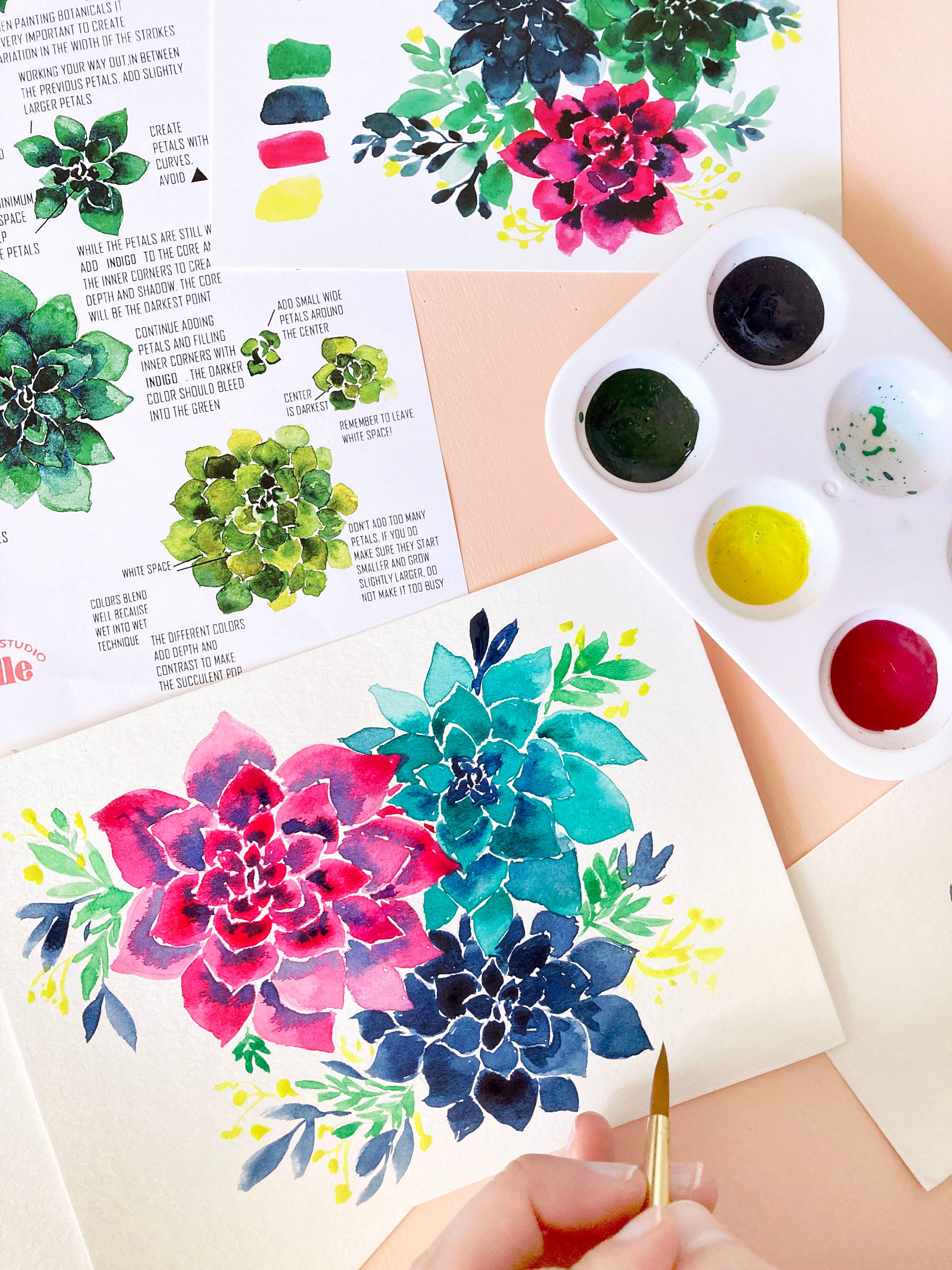 Pink Puddle Studio - Wholesale DIY Craft Kit - Succulent Painting DIY Watercolor Craft Kit