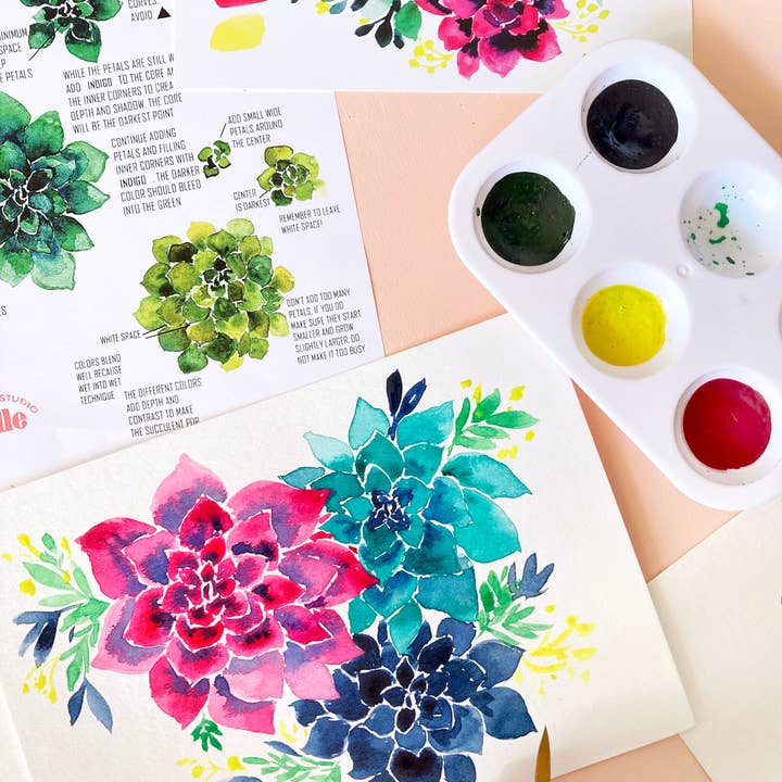 Pink Puddle Studio - Wholesale DIY Craft Kit - Succulent Painting DIY Watercolor Craft Kit0